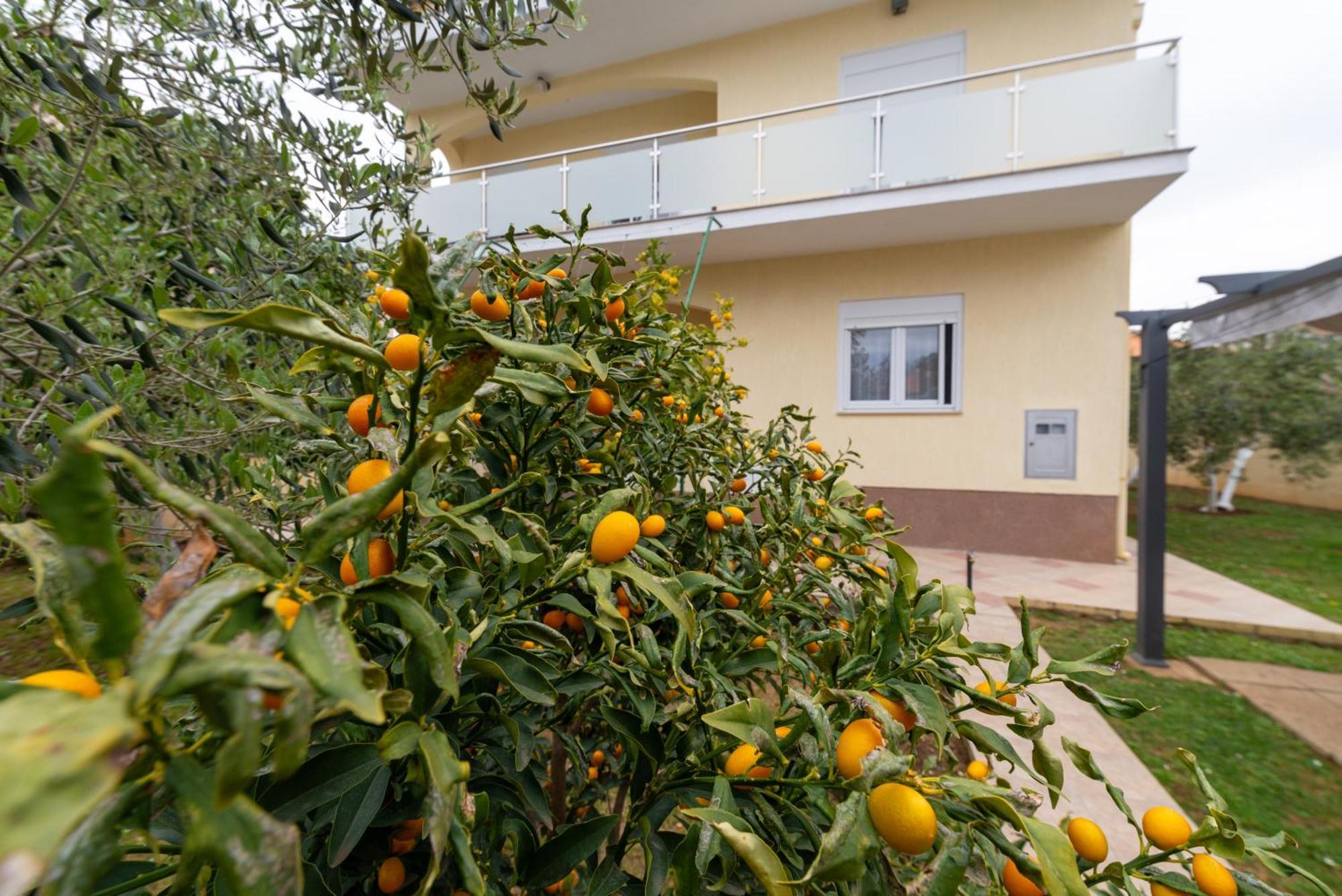זאדאר Villa K&F Borik מראה חיצוני תמונה