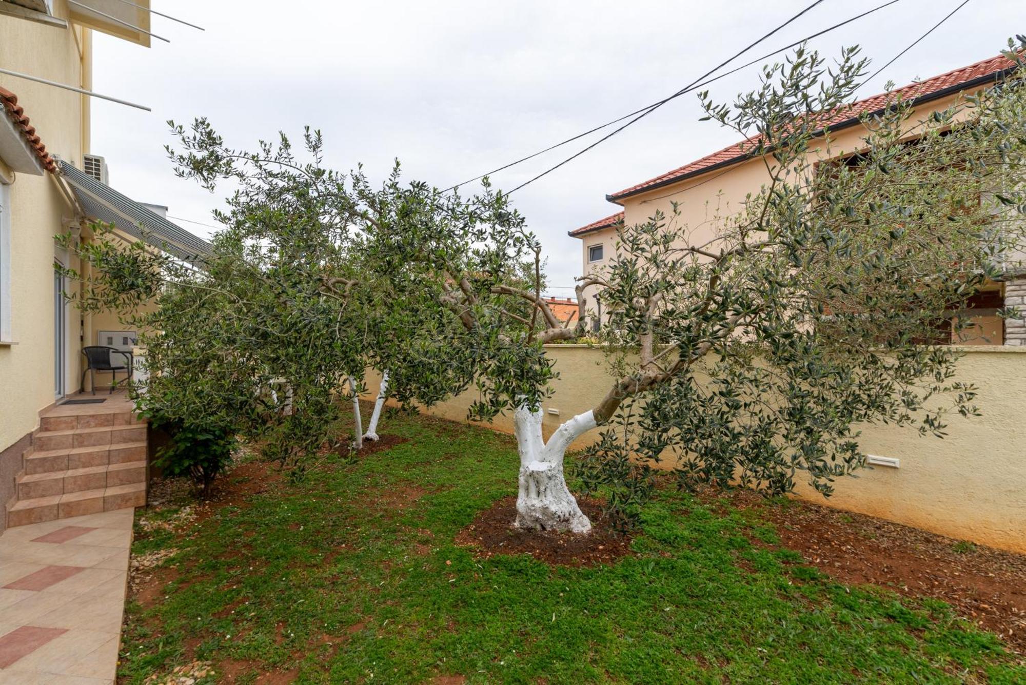 זאדאר Villa K&F Borik מראה חיצוני תמונה
