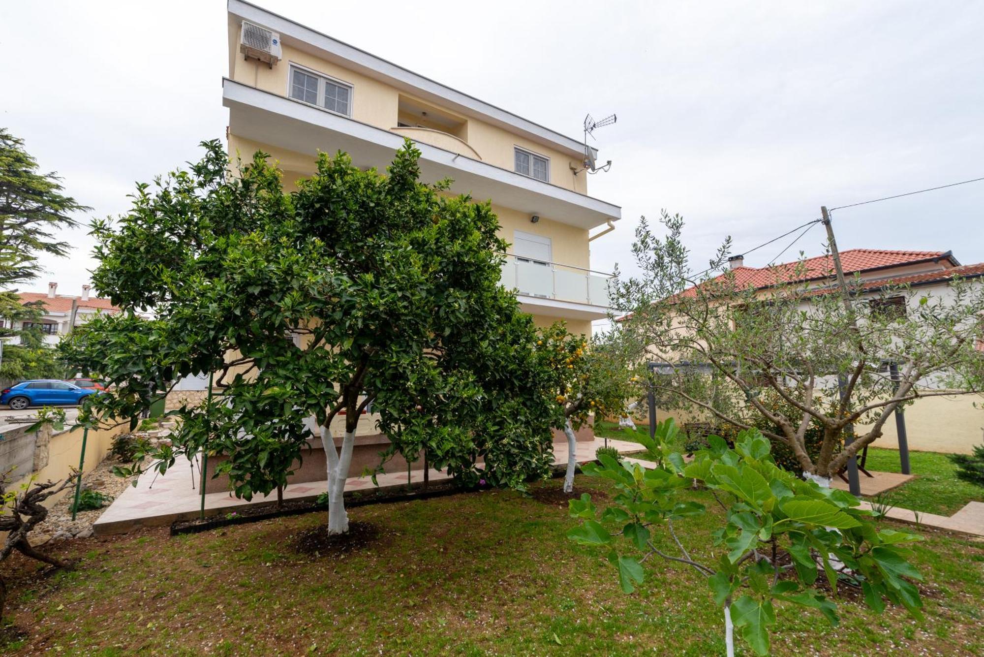 זאדאר Villa K&F Borik מראה חיצוני תמונה